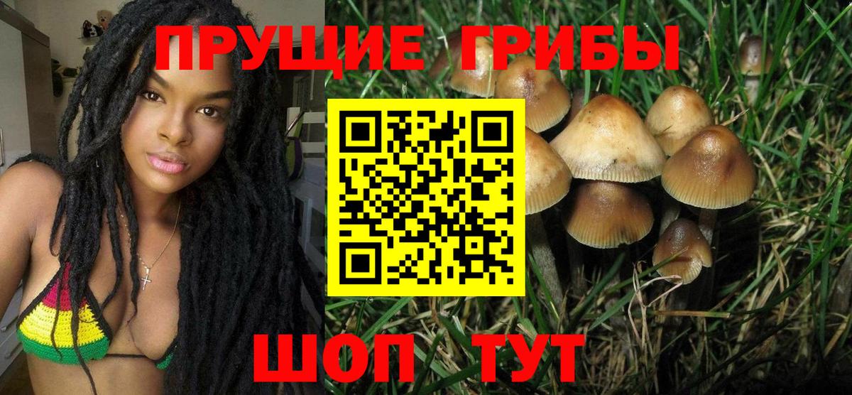 Псилоцибиновые грибы мухоморы  Псилоцибиновые грибы GOLDEN TEACHER  Вход с VPN  Рыбинск 
