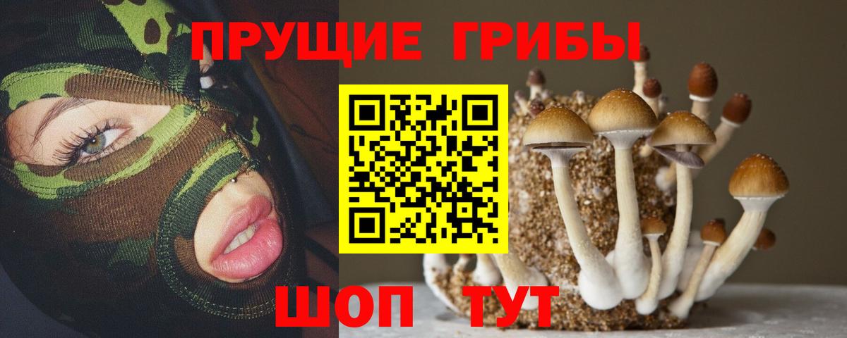 Псилоцибиновые грибы MAGIC MUSHROOMS Рыбинск